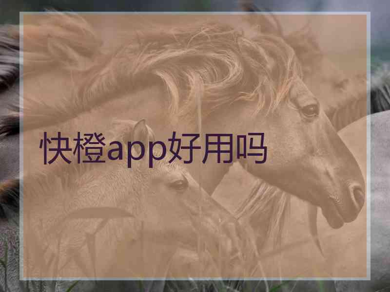 快橙app好用吗