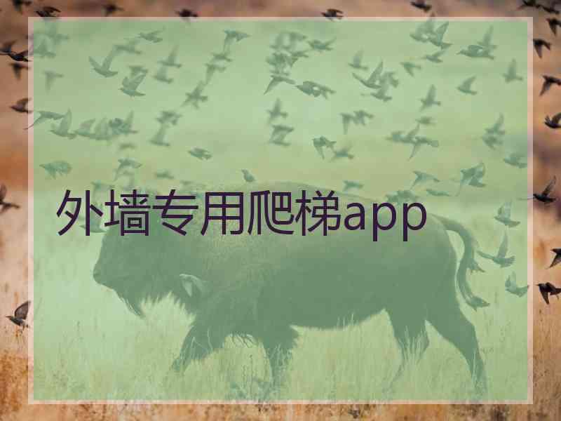 外墙专用爬梯app