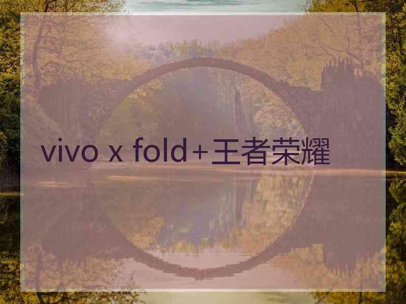 vivo x fold+王者荣耀