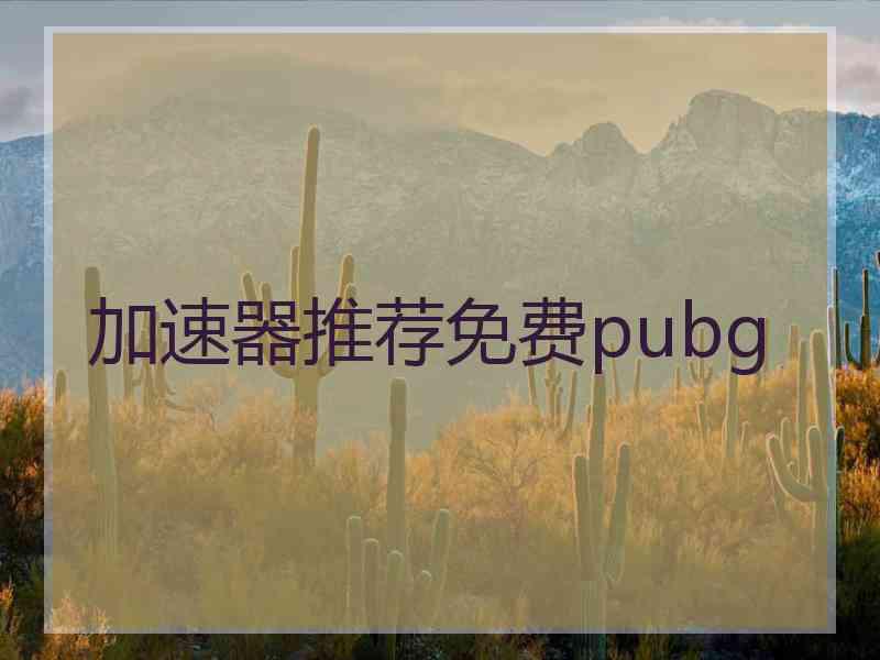 加速器推荐免费pubg