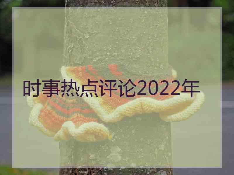 时事热点评论2022年