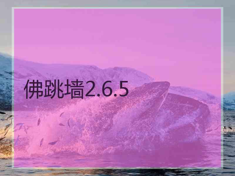 佛跳墙2.6.5