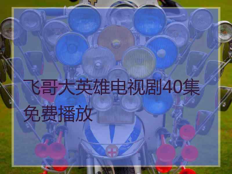 飞哥大英雄电视剧40集免费播放