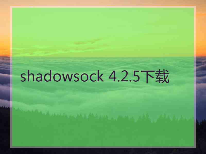 shadowsock 4.2.5下载