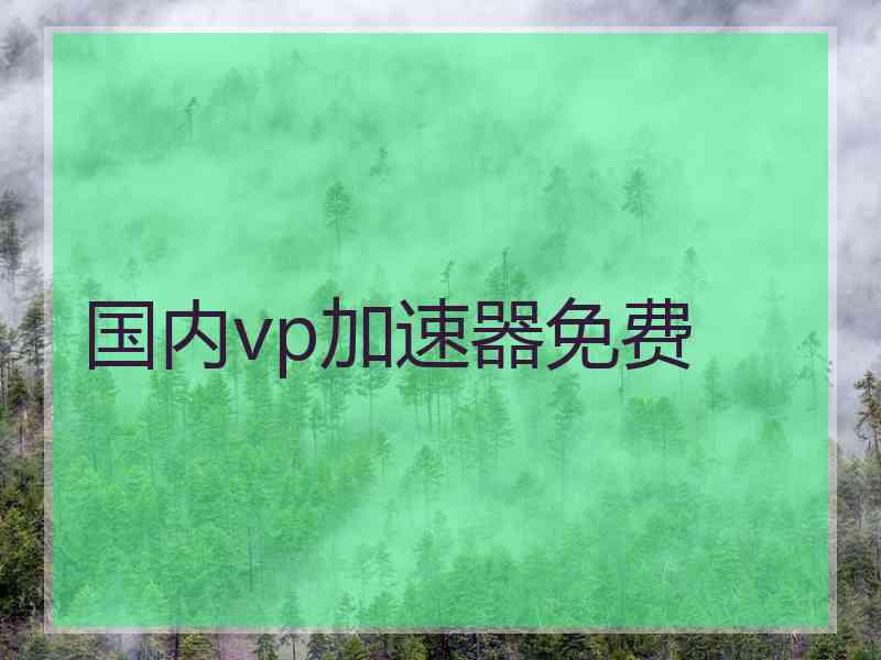 国内vp加速器免费