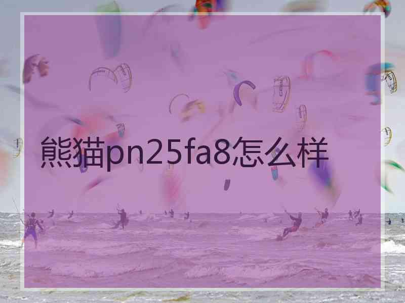 熊猫pn25fa8怎么样