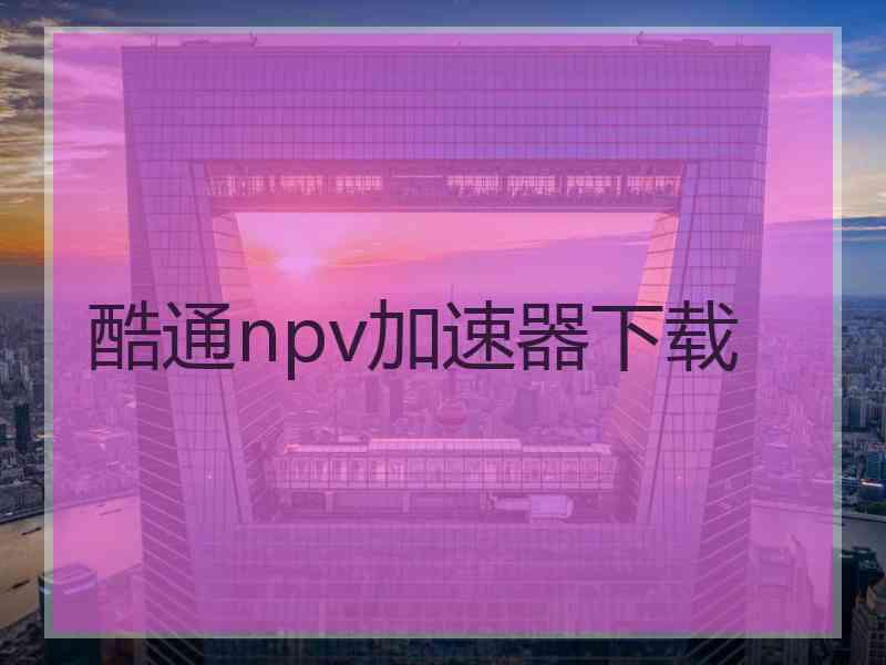 酷通npv加速器下载