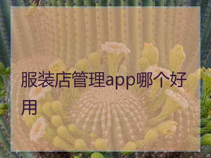 服装店管理app哪个好用