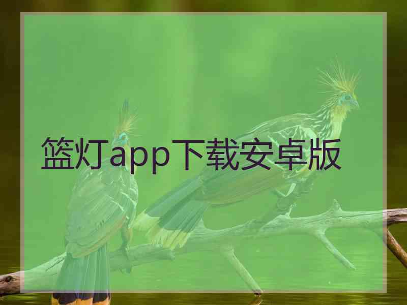 篮灯app下载安卓版