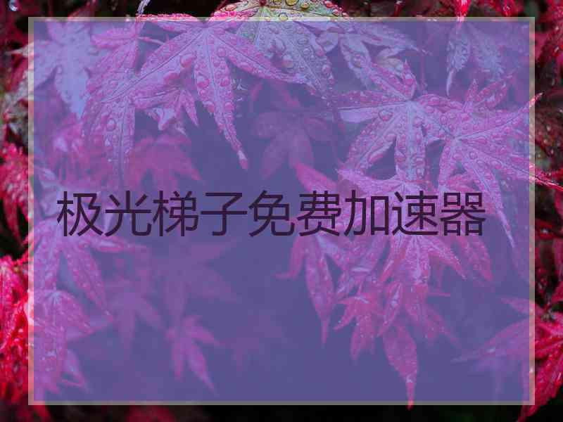 极光梯子免费加速器