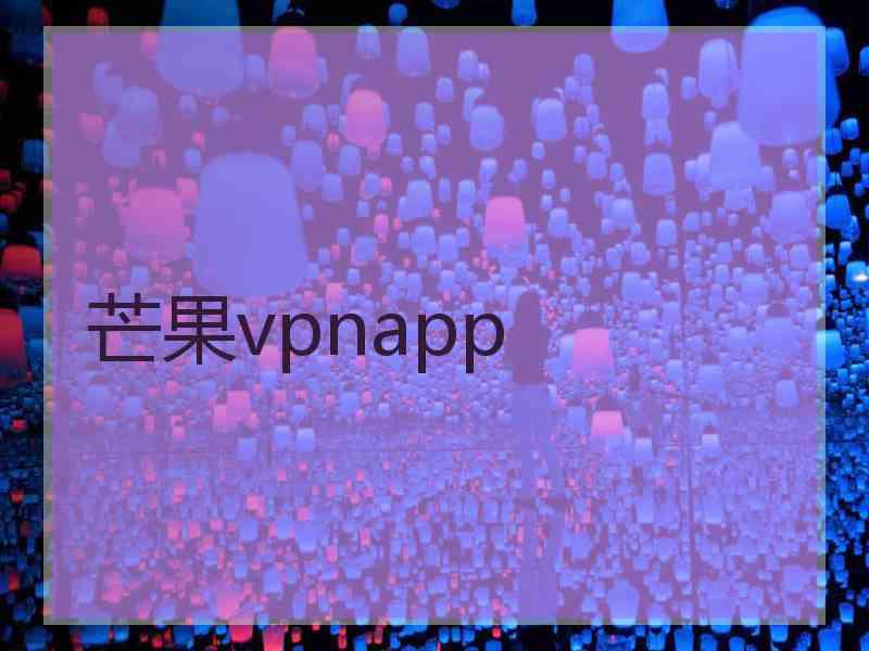 芒果vpnapp