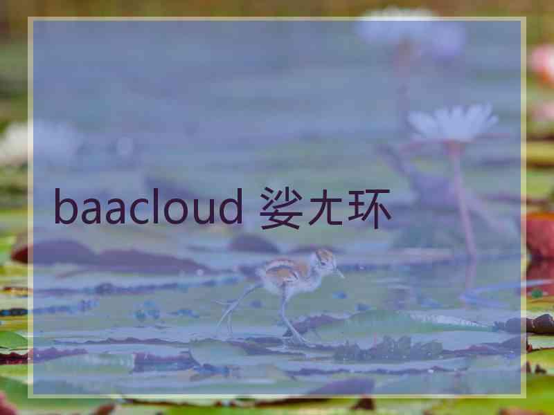 baacloud 娑ㄤ环