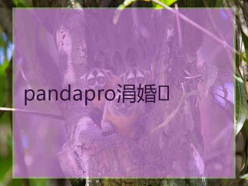 pandapro涓婚