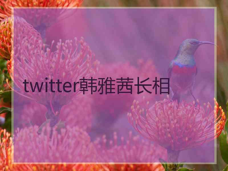 twitter韩雅茜长相