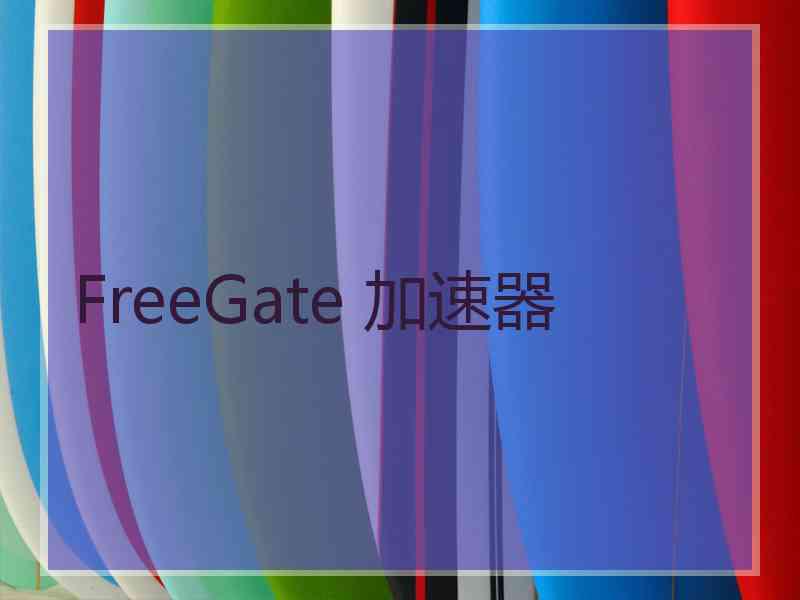 FreeGate 加速器