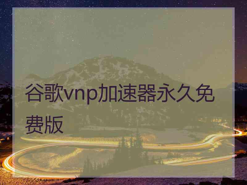 谷歌vnp加速器永久免费版