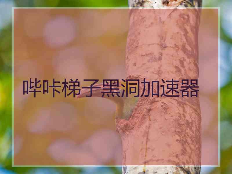 哔咔梯子黑洞加速器