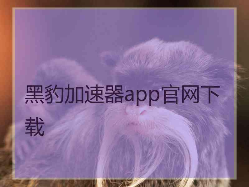 黑豹加速器app官网下载