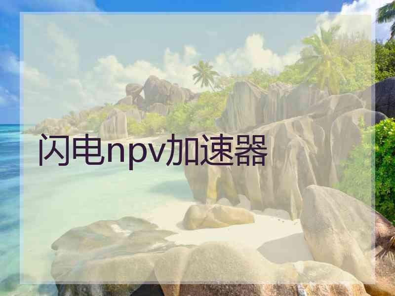 闪电npv加速器