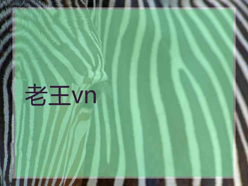 老王vn