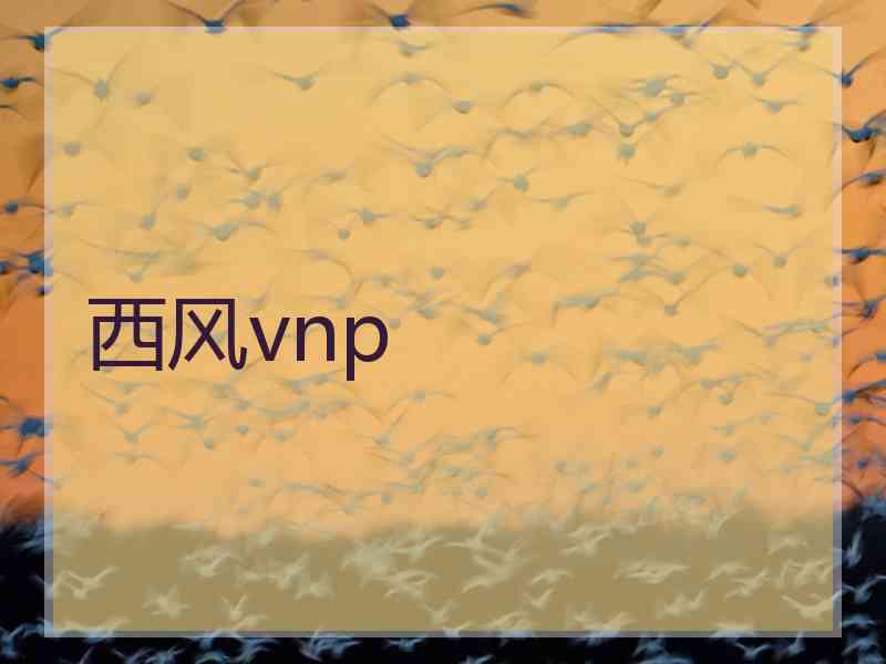 西风vnp