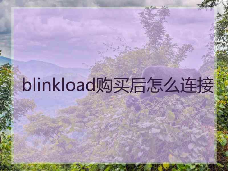 blinkload购买后怎么连接