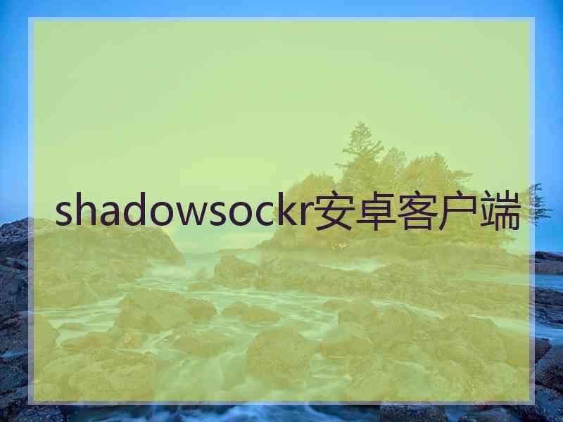 shadowsockr安卓客户端