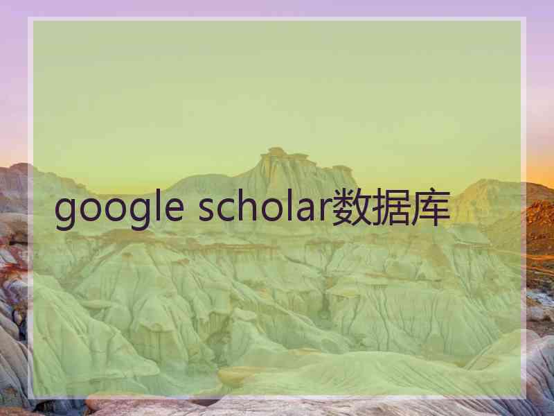 google scholar数据库