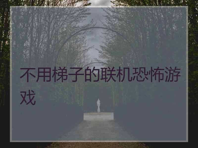 不用梯子的联机恐怖游戏