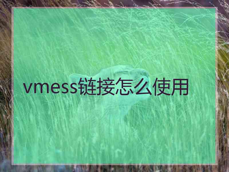 vmess链接怎么使用