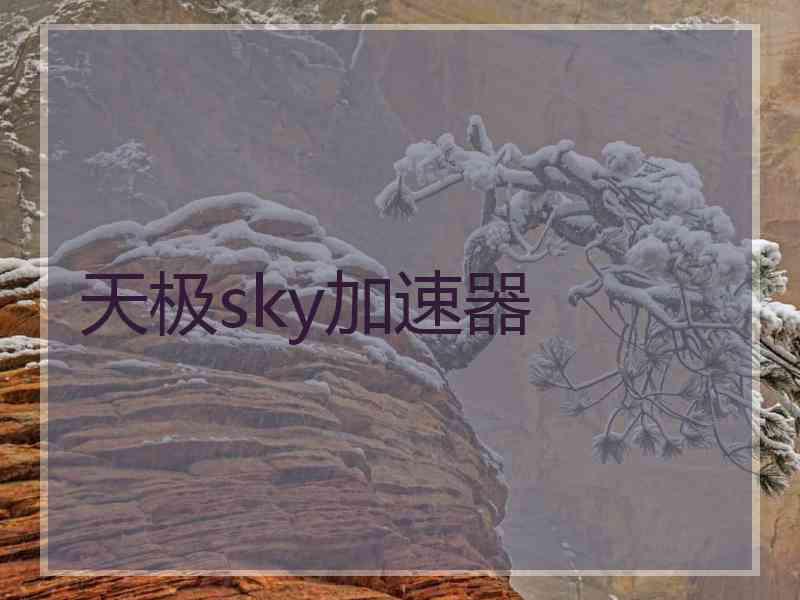 天极sky加速器