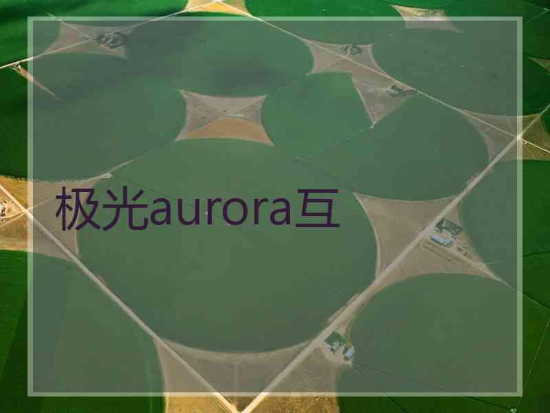 极光aurora互