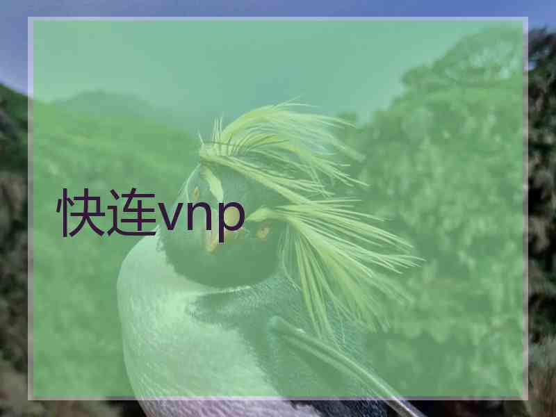 快连vnp