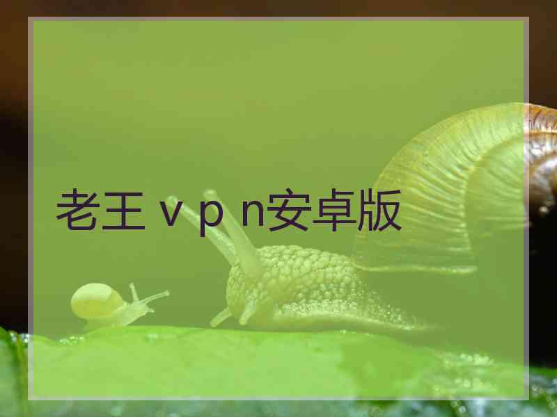 老王 v p n安卓版