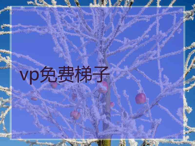 vp免费梯子