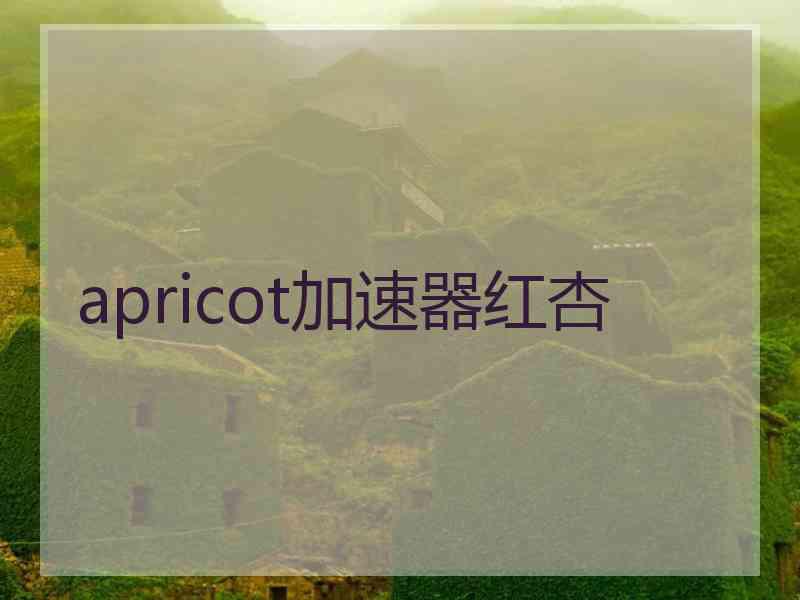 apricot加速器红杏