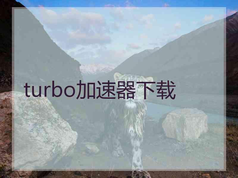 turbo加速器下载