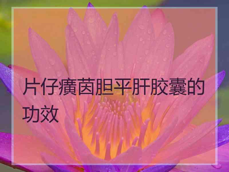 片仔癀茵胆平肝胶囊的功效