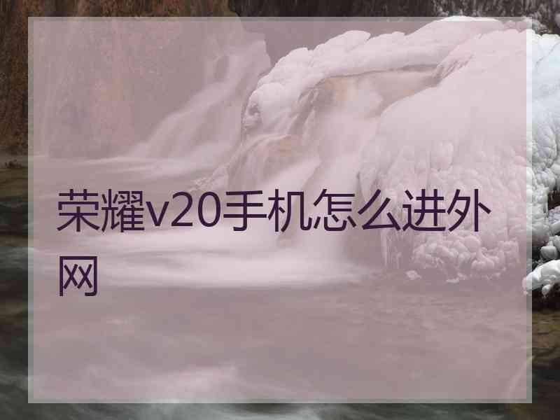 荣耀v20手机怎么进外网