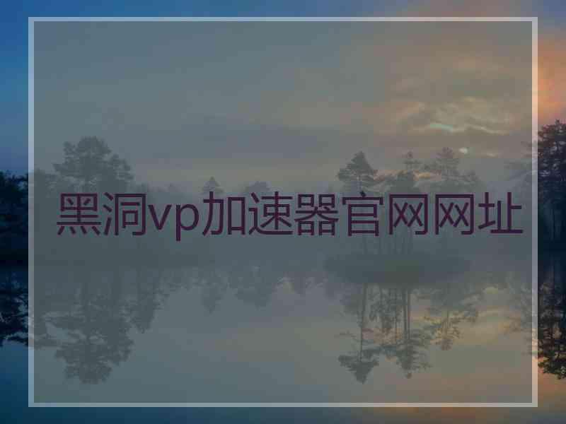 黑洞vp加速器官网网址