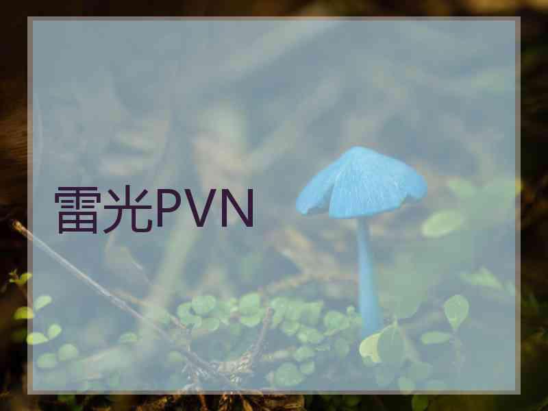 雷光PVN