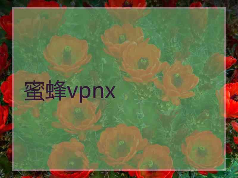 蜜蜂vpnx