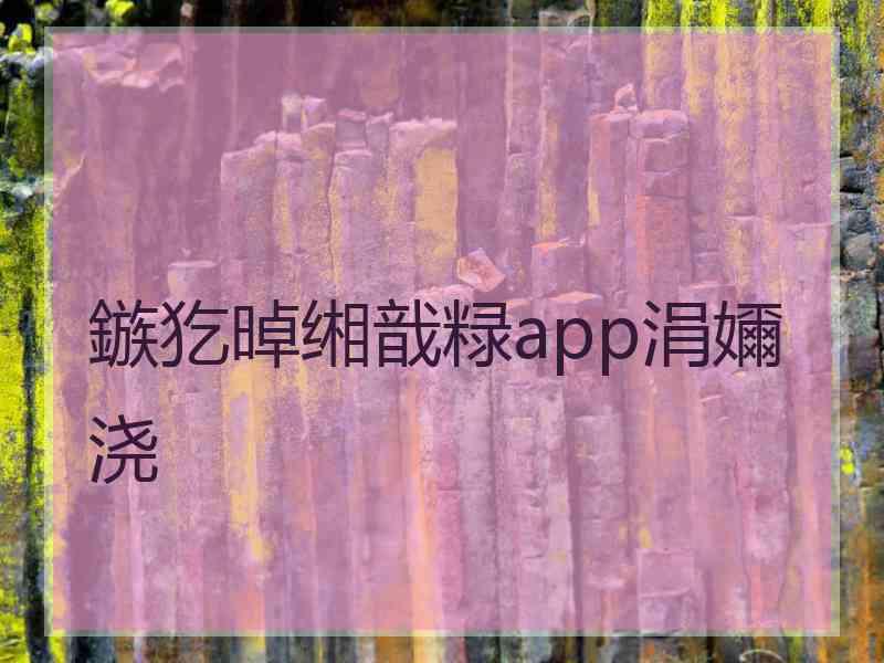 鏃犵晫缃戠粶app涓嬭浇