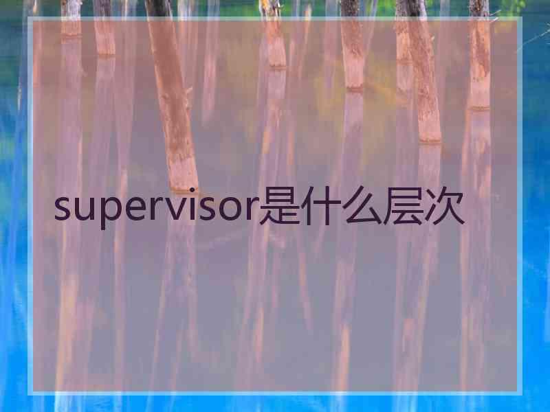 supervisor是什么层次