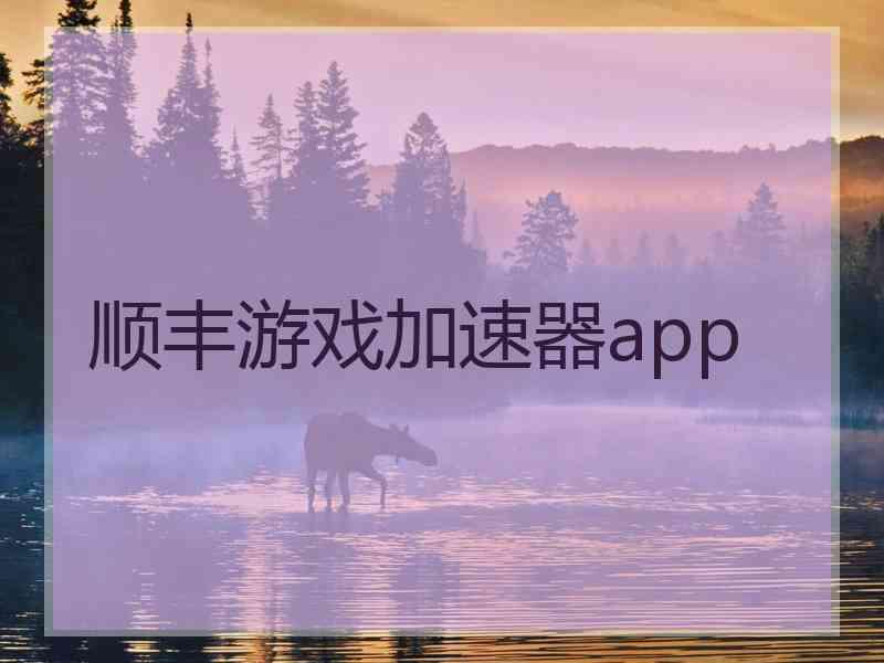 顺丰游戏加速器app