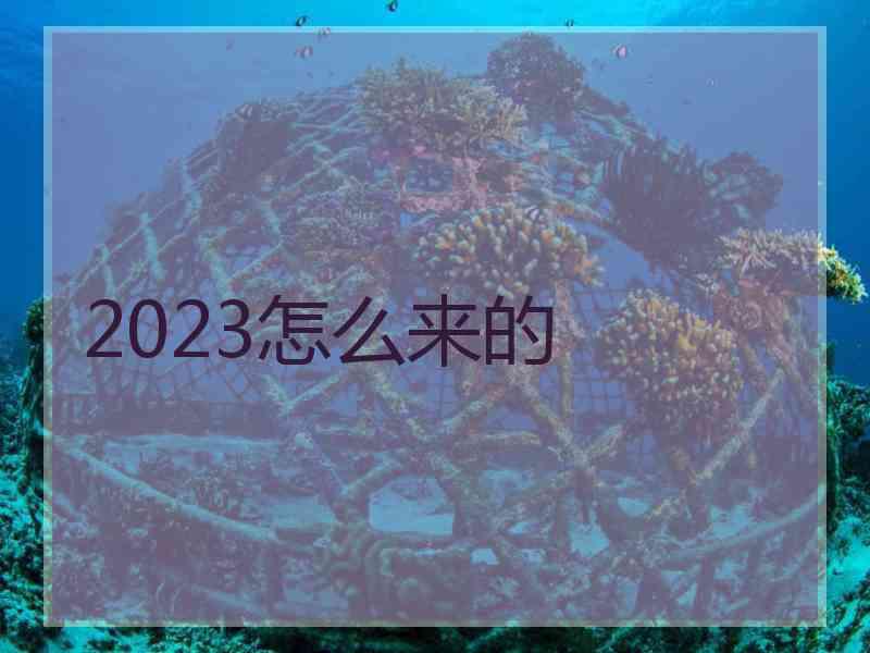 2023怎么来的