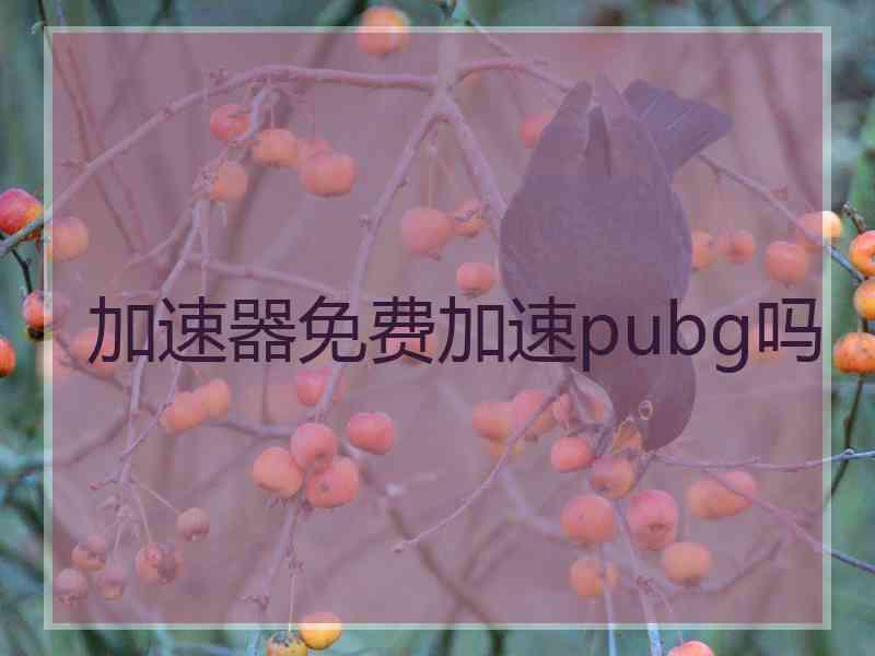 加速器免费加速pubg吗