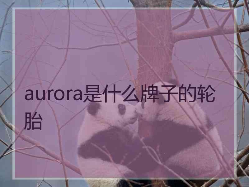 aurora是什么牌子的轮胎