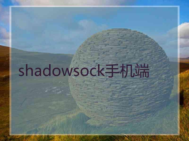 shadowsock手机端