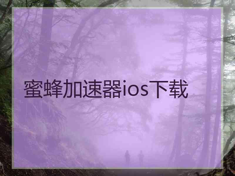 蜜蜂加速器ios下载